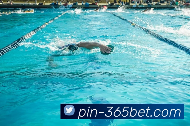 App Interface Preview