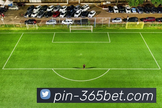 数据防护可视化